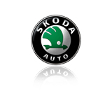 Тормозные диски и колодки для Skoda